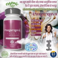 Organic bio Punarnava probiotic tablet