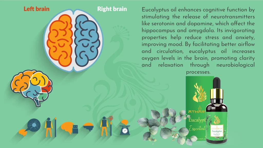 Phyto Atomy Atharva Eucalyptus Essential Oil शुद्धता और स्वास्थ्य का संगम