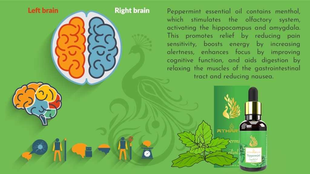 Phyto Atomy Atharva Peppermint Essential Oil
peppermint essential oil
how to make peppermint essential oil
can you eat peppermint essential oil
best peppermint essential oil
how to use peppermint essential oil for sore throat
where to buy peppermint essential oil
is peppermint essential oil safe during pregnancy