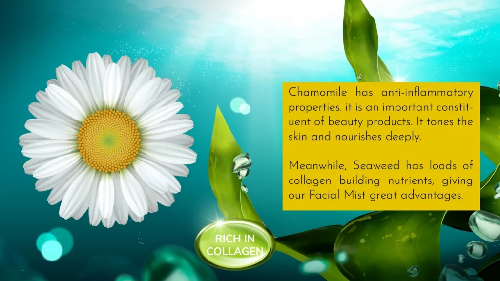 Phyto Atomy Satyabhama and Shantanu Chamomile Seaweed Facial Tonic Mist