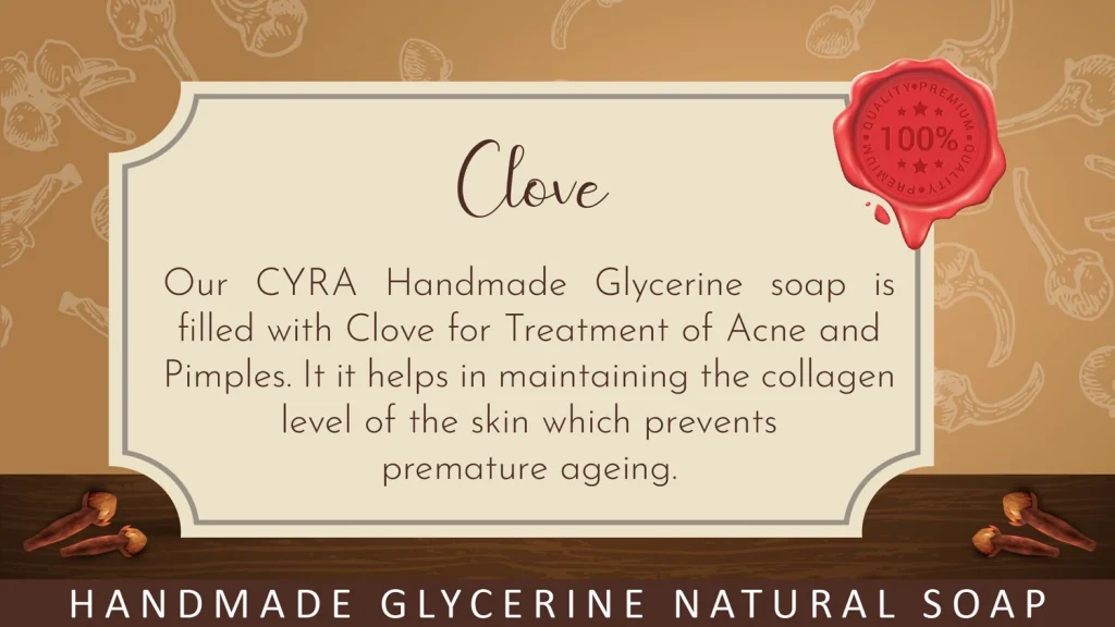 Phyto Atomy Glycerine Soap (Clove) 100g - Your Skin's New Best Friend