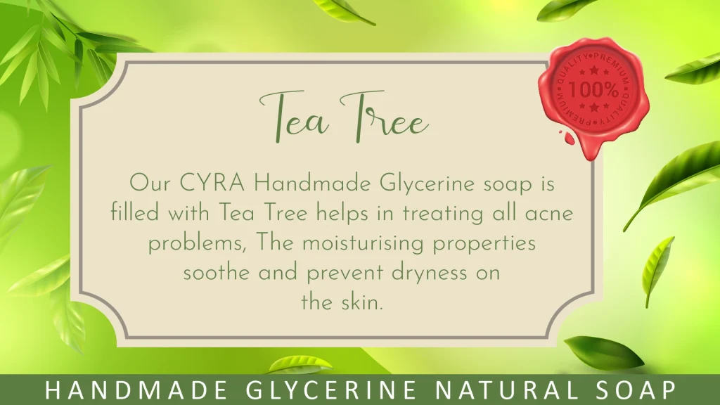 Discover the Power of Phyto Atomy Tea Tree Glycerine Soap (100g): Nature’s Remedy for Your Skin